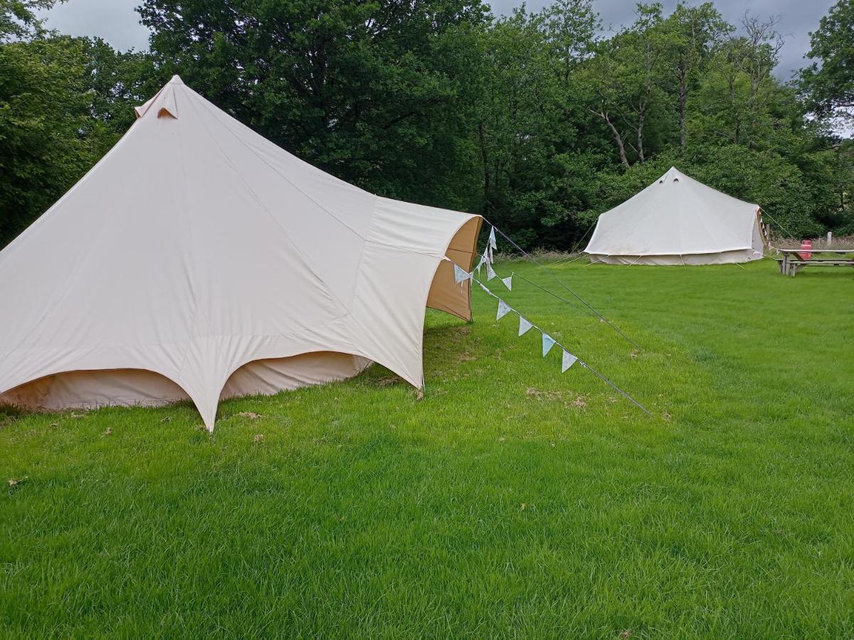Hotel Oak Tree Farm Llanfynydd Exterior foto