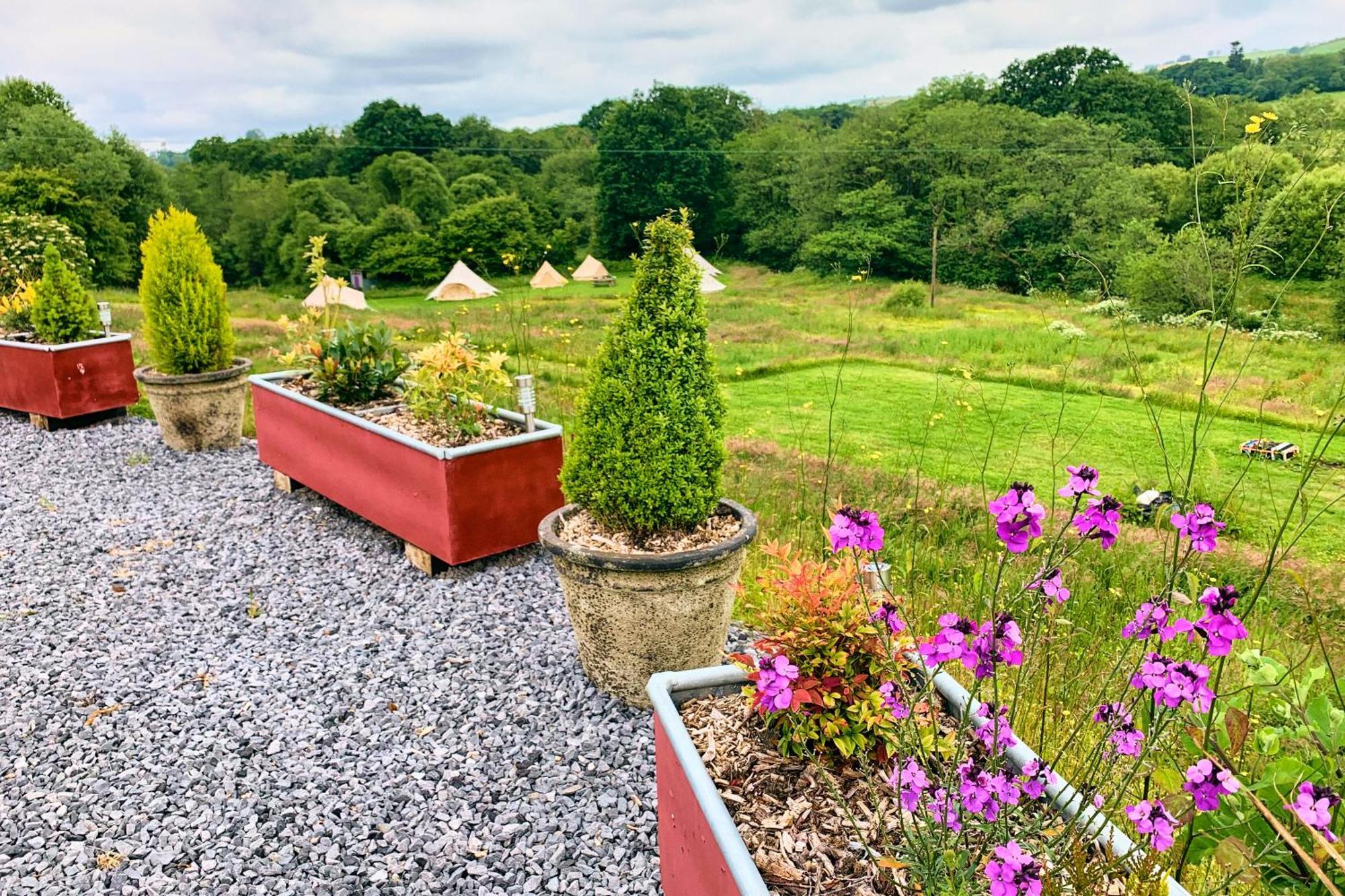 Hotel Oak Tree Farm Llanfynydd Exterior foto